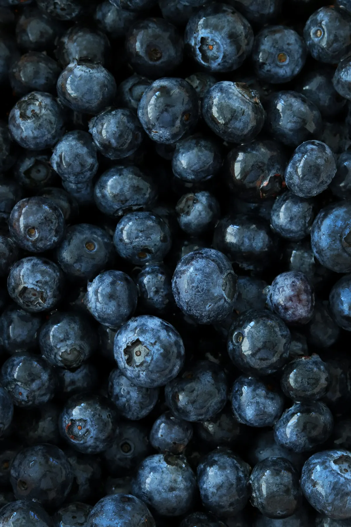 Blueberries from Peru