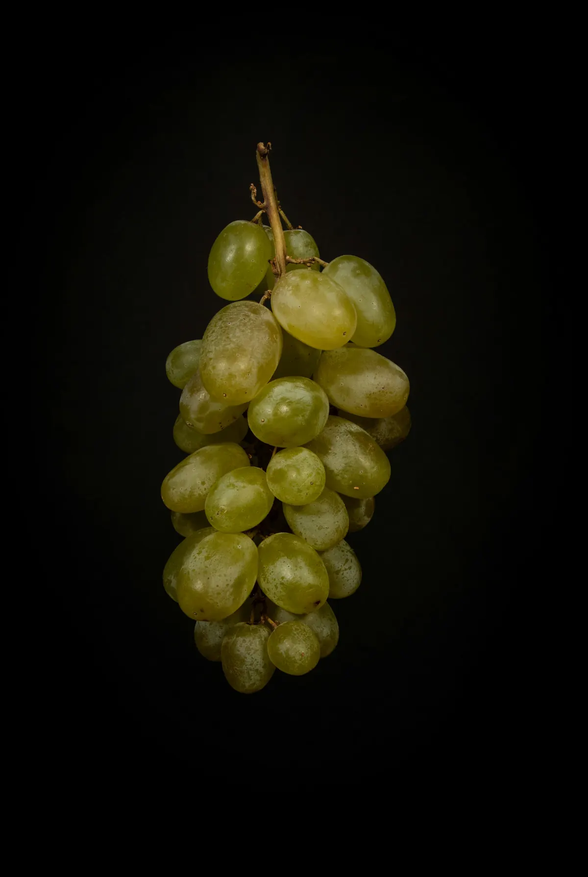Table grapes from Peru